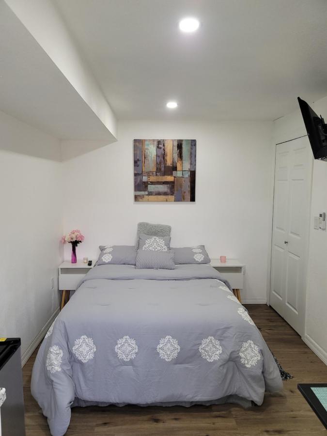 Cozy Studio Apt Apartment Orlando Ngoại thất bức ảnh